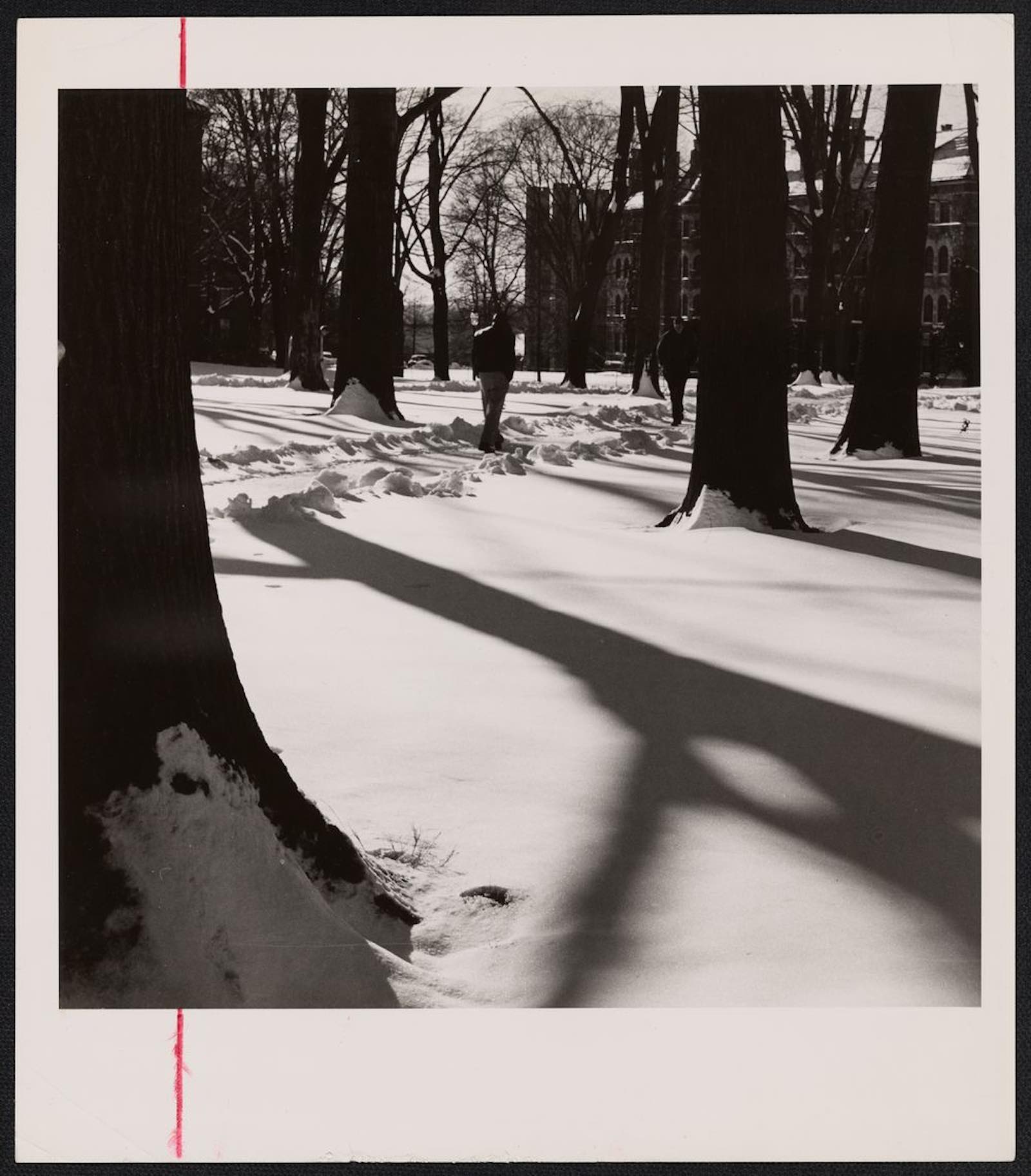 Campus in Snow